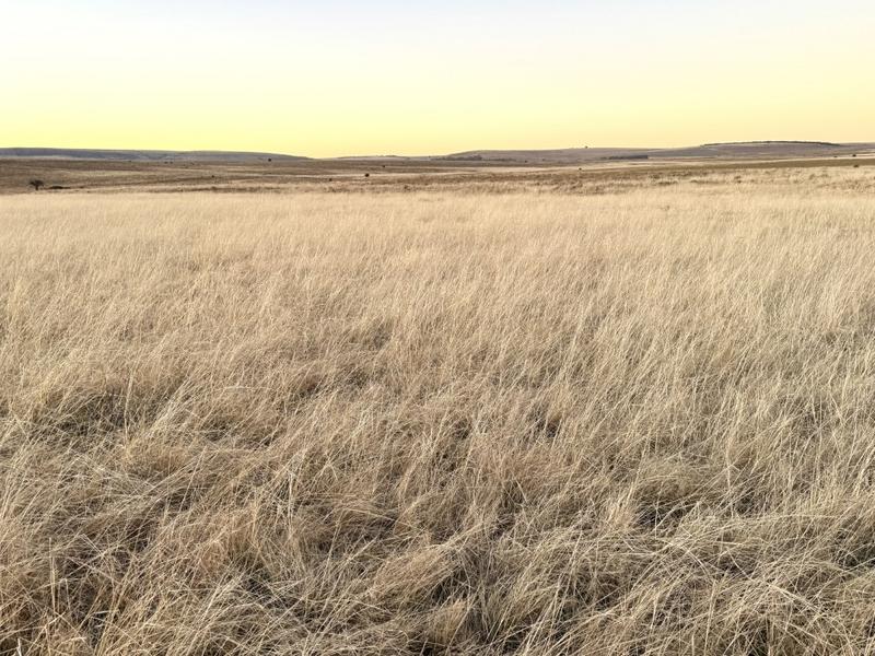 0 Bedroom Property for Sale in Warden Free State
